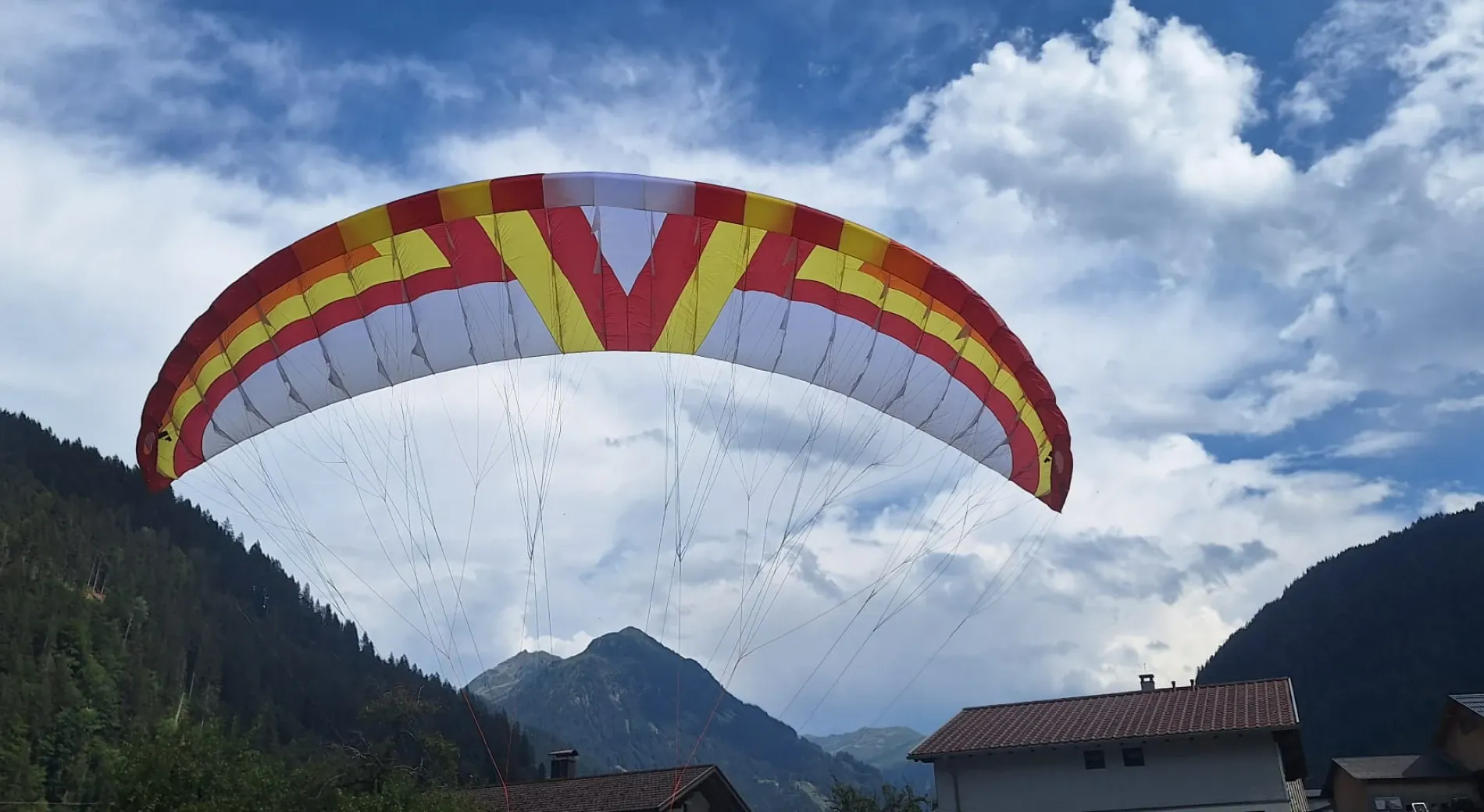 Neuer Test, neuer Fisch